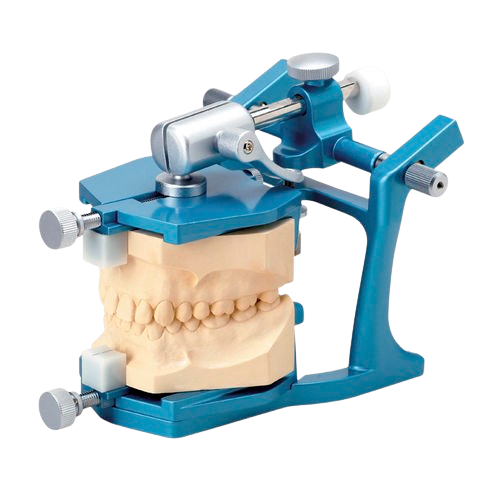 Articulateur bleu