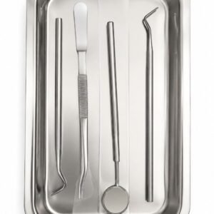 plateau inox avec 4 instrument