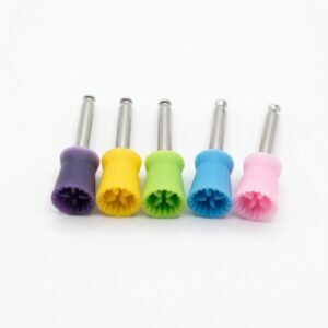 Cupule en couleur